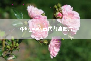 沈丘古代九宫图片