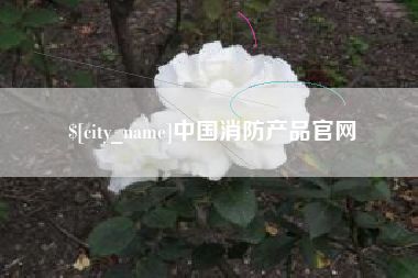沈丘中国消防产品官网