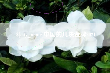 沈丘中国的几块金牌2021