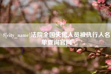 沈丘法院全国失信人员被执行人名单查询官网