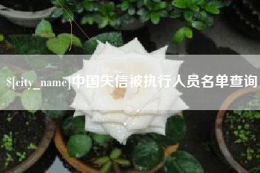 沈丘中国失信被执行人员名单查询