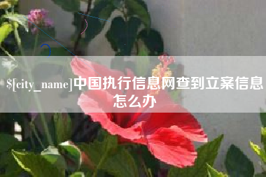 沈丘中国执行信息网查到立案信息怎么办