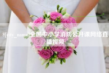 沈丘全国中小学消防公开课网络直播视频