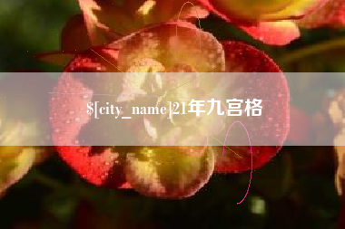 沈丘21年九宫格