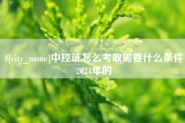 沈丘中控证怎么考取需要什么条件2024年的