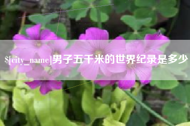 沈丘男子五千米的世界纪录是多少