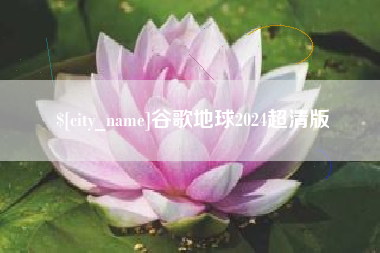 沈丘谷歌地球2024超清版