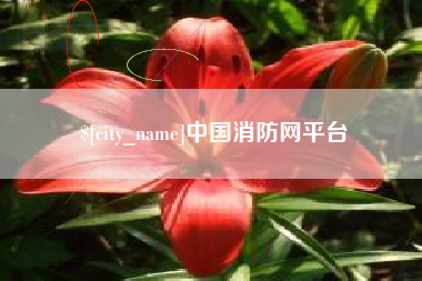 沈丘中国消防网平台