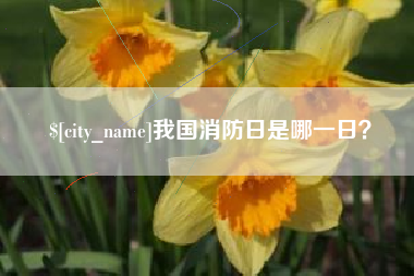 沈丘我国消防日是哪一日？