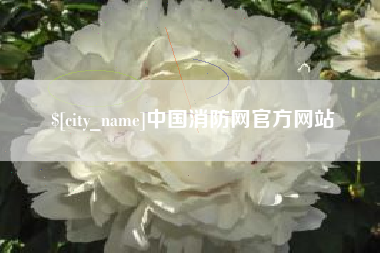 沈丘中国消防网官方网站