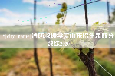 沈丘消防救援学院山东招生录取分数线2020