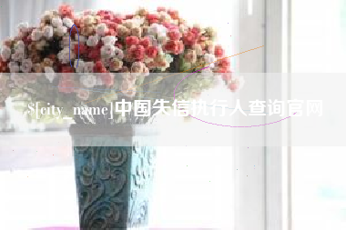沈丘中国失信执行人查询官网
