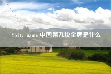 沈丘中国第九块金牌是什么