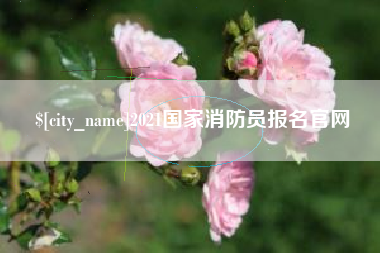 沈丘2021国家消防员报名官网