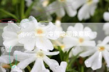 沈丘中国地图像素版