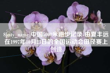 沈丘中国5000米跑步记录-由夏丰远在1997年10月23日的全国运动会田径赛上创造