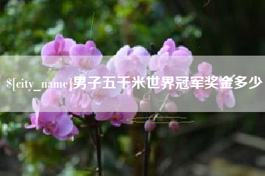 沈丘男子五千米世界冠军奖金多少