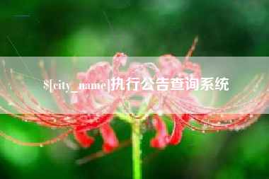 沈丘执行公告查询系统