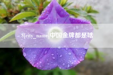 沈丘中国金牌都是啥
