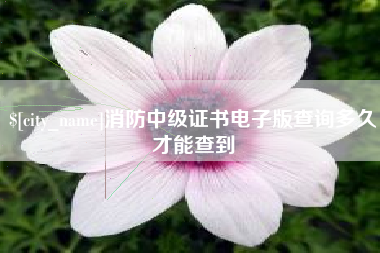 沈丘消防中级证书电子版查询多久才能查到