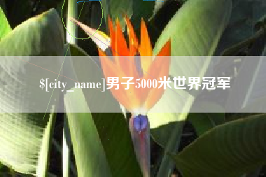 沈丘男子5000米世界冠军