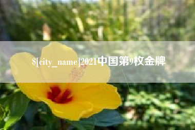 沈丘2021中国第9枚金牌
