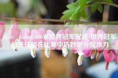 沈丘5000米世界冠军配速-世界冠军们往往能在比赛中巧妙地分配体力