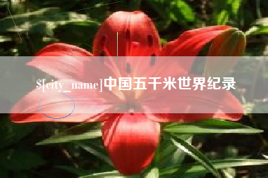 沈丘中国五千米世界纪录