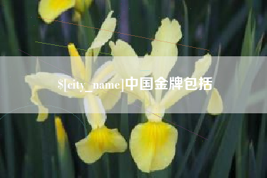 沈丘中国金牌包括