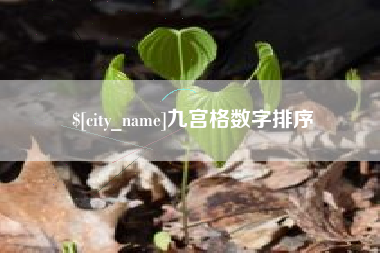 沈丘九宫格数字排序