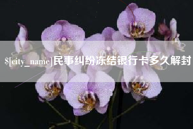 沈丘民事纠纷冻结银行卡多久解封