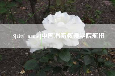 沈丘中国消防救援学院航拍