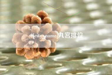 沈丘九宫排位