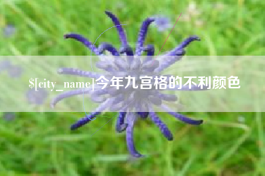 沈丘今年九宫格的不利颜色