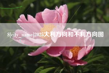 沈丘2025大利方向和不利方向图