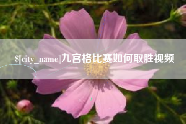 沈丘九宫格比赛如何取胜视频