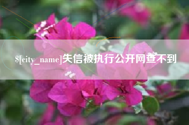 沈丘失信被执行公开网查不到