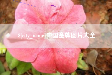 沈丘中国金牌图片大全
