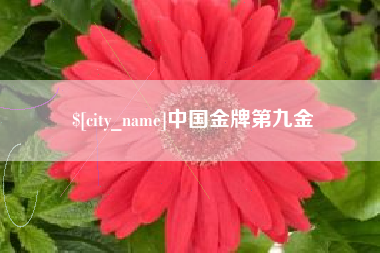 沈丘中国金牌第九金