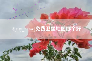 沈丘免费卫星地图哪个好