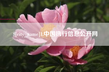 沈丘1.中国执行信息公开网