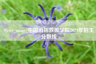沈丘中国消防救援学院2024年招生分数线