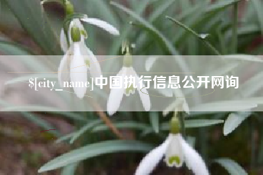 沈丘中国执行信息公开网询