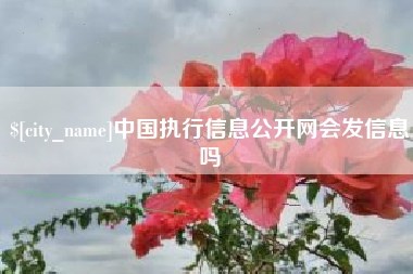 沈丘中国执行信息公开网会发信息吗