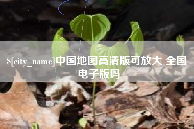 沈丘中国地图高清版可放大 全国 电子版吗