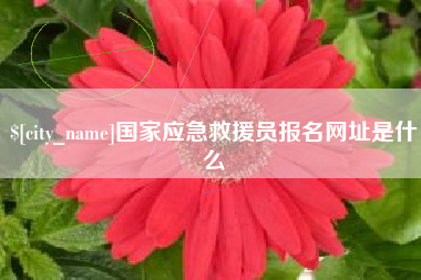 沈丘国家应急救援员报名网址是什么