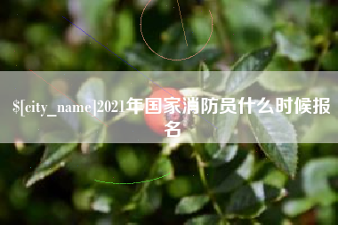 沈丘2021年国家消防员什么时候报名