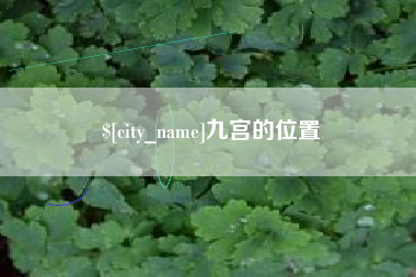 沈丘九宫的位置