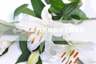 沈丘九宫格盘点工具图片