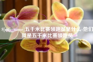沈丘五千米比赛领跑员是什么-他们就是五千米比赛领跑员